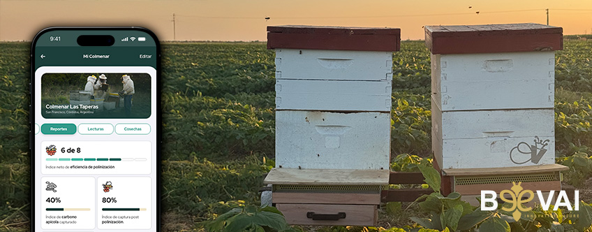 BEEVAI Polinización